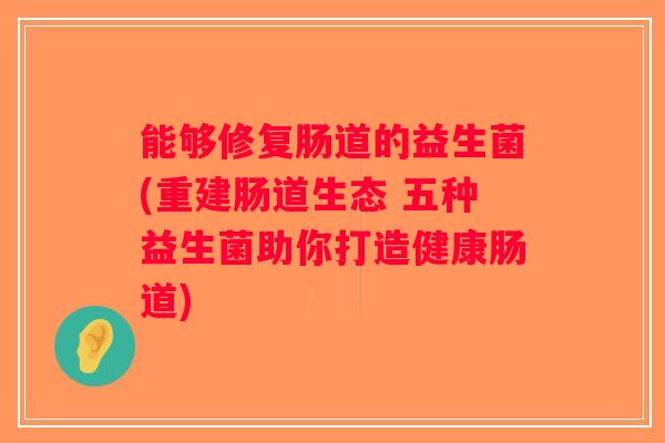 能够修复肠道的益生菌(重建肠道生态 五种益生菌助你打造健康肠道)
