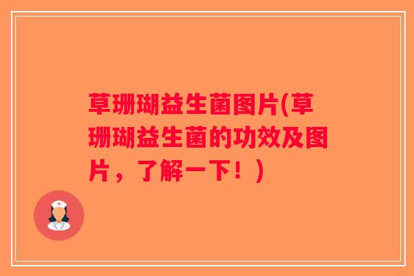 草珊瑚益生菌图片(草珊瑚益生菌的功效及图片，了解一下！)