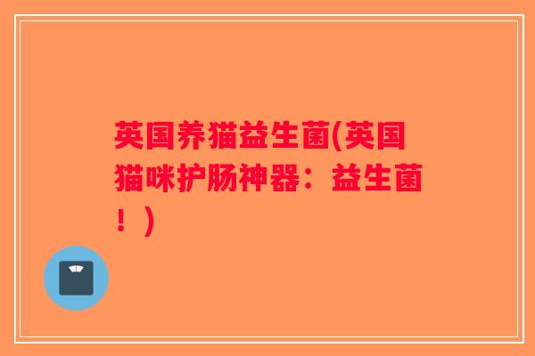 英国养猫益生菌(英国猫咪护肠神器：益生菌！)