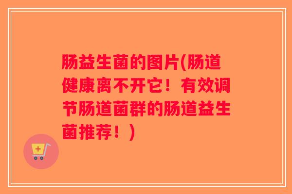 肠益生菌的图片(肠道健康离不开它！有效调节肠道菌群的肠道益生菌推荐！)