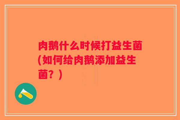 肉鹅什么时候打益生菌(如何给肉鹅添加益生菌？)