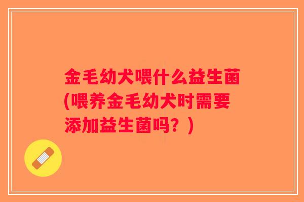 金毛幼犬喂什么益生菌(喂养金毛幼犬时需要添加益生菌吗？)