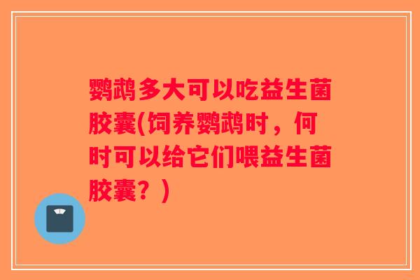 鹦鹉多大可以吃益生菌胶囊(饲养鹦鹉时，何时可以给它们喂益生菌胶囊？)