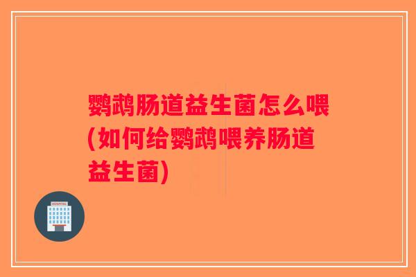 鹦鹉肠道益生菌怎么喂(如何给鹦鹉喂养肠道益生菌)