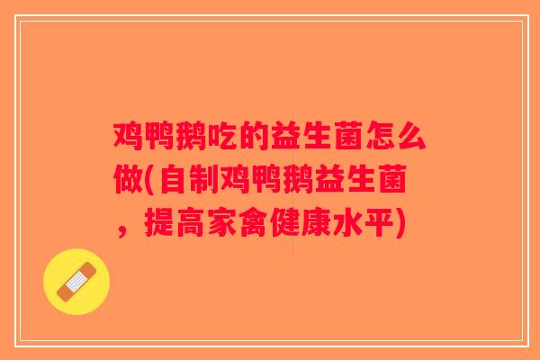 鸡鸭鹅吃的益生菌怎么做(自制鸡鸭鹅益生菌，提高家禽健康水平)