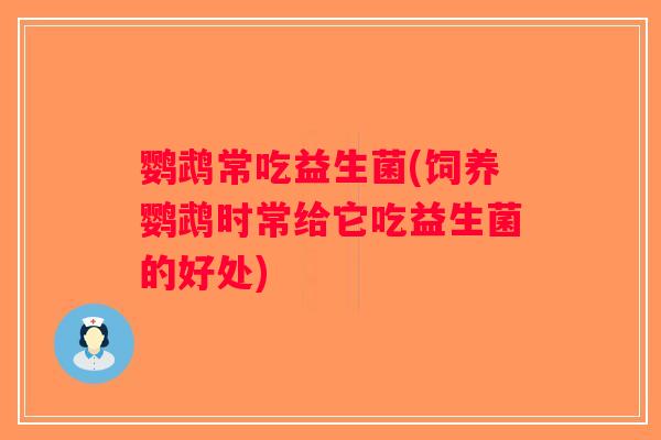 鹦鹉常吃益生菌(饲养鹦鹉时常给它吃益生菌的好处)