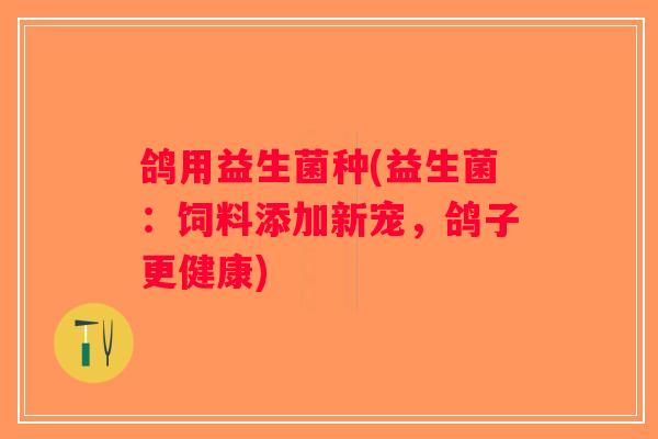 鸽用益生菌种(益生菌：饲料添加新宠，鸽子更健康)