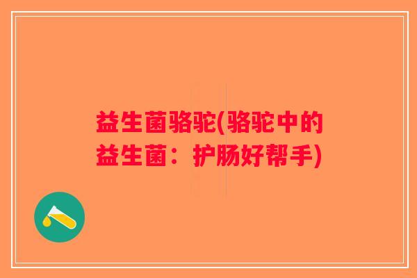 益生菌骆驼(骆驼中的益生菌：护肠好帮手)