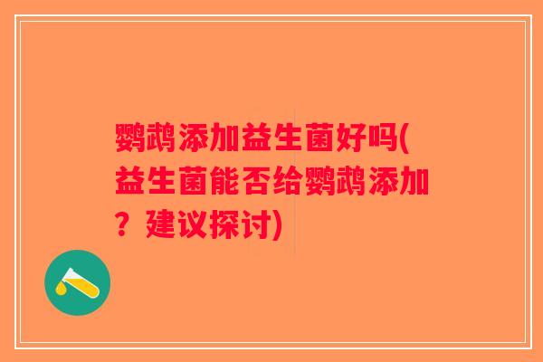 鹦鹉添加益生菌好吗(益生菌能否给鹦鹉添加？建议探讨)