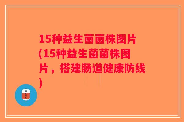 15种益生菌菌株图片(15种益生菌菌株图片，搭建肠道健康防线)