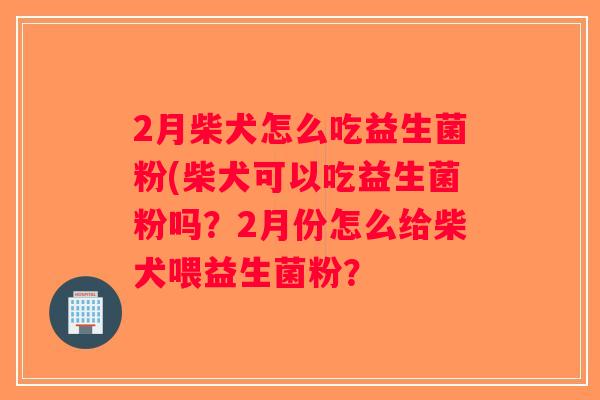 2月柴犬怎么吃益生菌粉(柴犬可以吃益生菌粉吗？2月份怎么给柴犬喂益生菌粉？