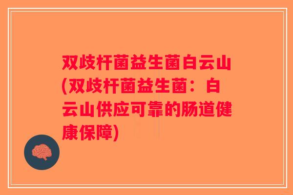双歧杆菌益生菌白云山(双歧杆菌益生菌：白云山供应可靠的肠道健康保障)