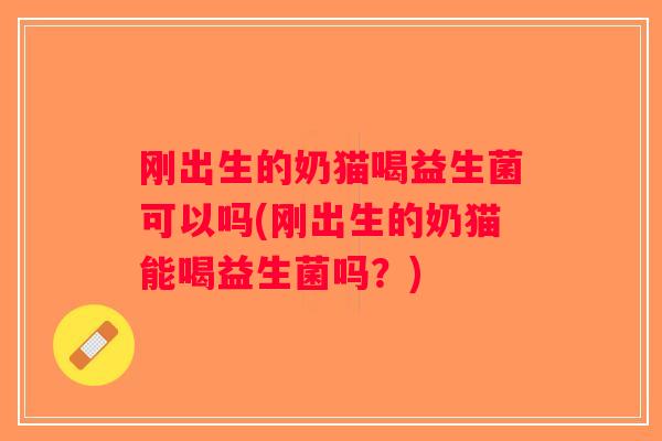 刚出生的奶猫喝益生菌可以吗(刚出生的奶猫能喝益生菌吗？)