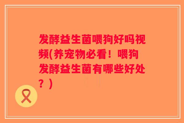 发酵益生菌喂狗好吗视频(养宠物必看！喂狗发酵益生菌有哪些好处？)