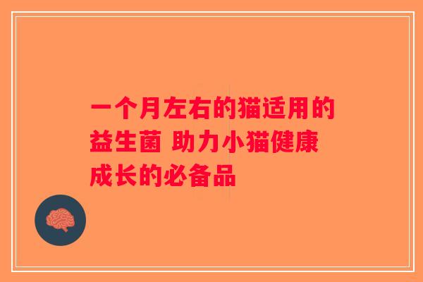 一个月左右的猫适用的益生菌 助力小猫健康成长的必备品