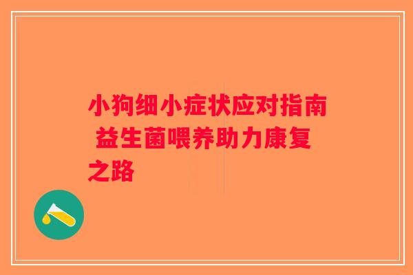 小狗细小症状应对指南 益生菌喂养助力康复之路