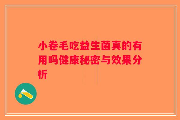 小卷毛吃益生菌真的有用吗健康秘密与效果分析