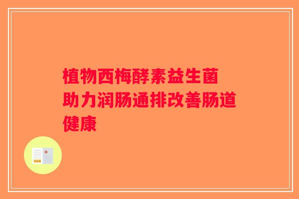 植物西梅酵素益生菌 助力润肠通排改善肠道健康