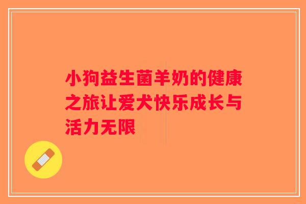 小狗益生菌羊奶的健康之旅让爱犬快乐成长与活力无限
