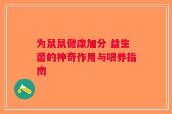 为鼠鼠健康加分 益生菌的神奇作用与喂养指南