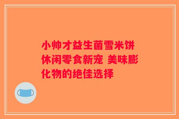 小帅才益生菌雪米饼 休闲零食新宠 美味膨化物的绝佳选择