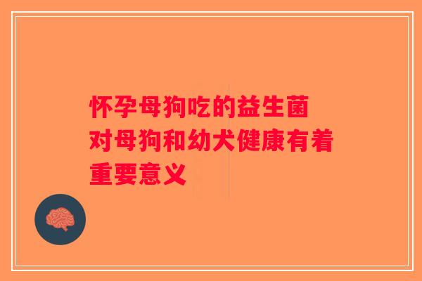 怀孕母狗吃的益生菌 对母狗和幼犬健康有着重要意义