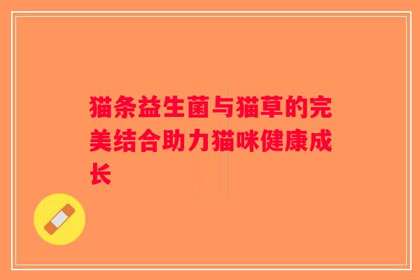 猫条益生菌与猫草的完美结合助力猫咪健康成长