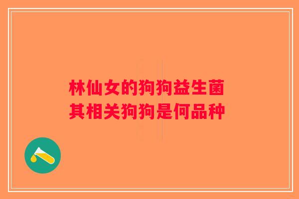 林仙女的狗狗益生菌 其相关狗狗是何品种