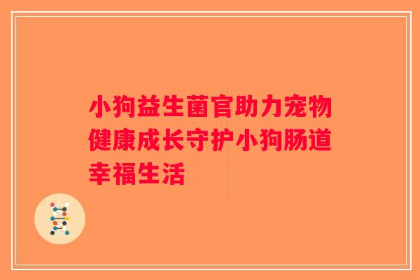 小狗益生菌官助力宠物健康成长守护小狗肠道幸福生活