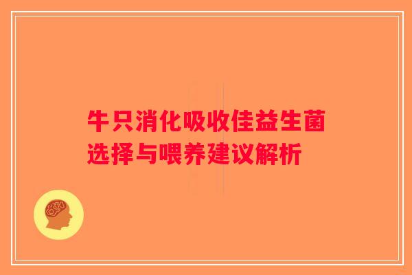 牛只消化吸收佳益生菌选择与喂养建议解析