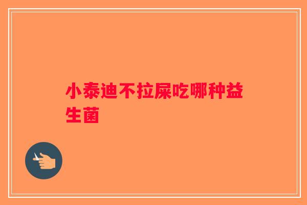 小泰迪不拉屎吃哪种益生菌