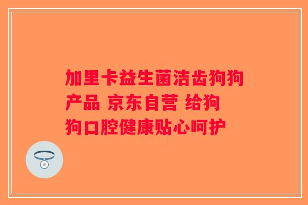 加里卡益生菌洁齿狗狗产品 京东自营 给狗狗口腔健康贴心呵护