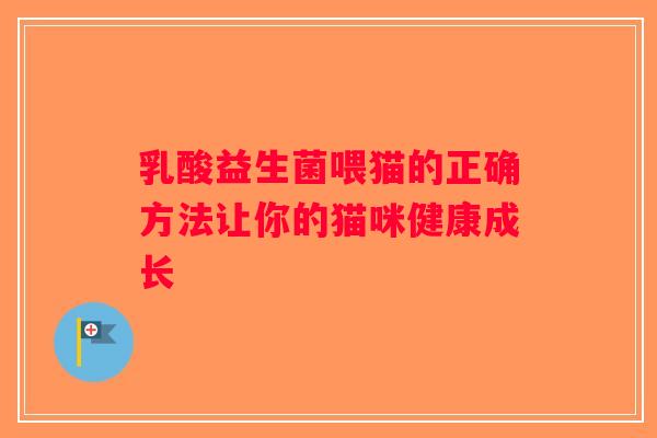 乳酸益生菌喂猫的正确方法让你的猫咪健康成长
