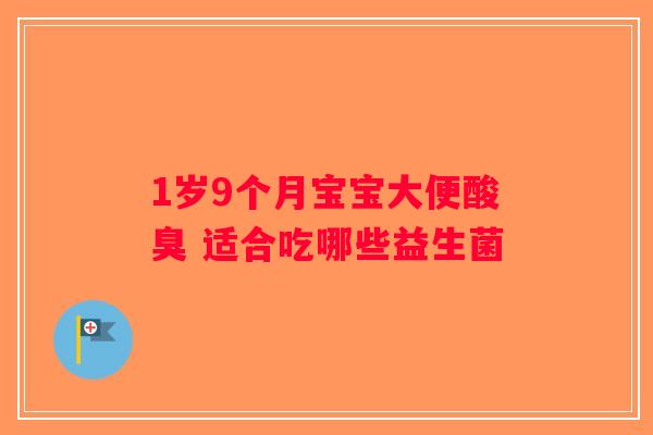 1岁9个月宝宝大便酸臭 适合吃哪些益生菌