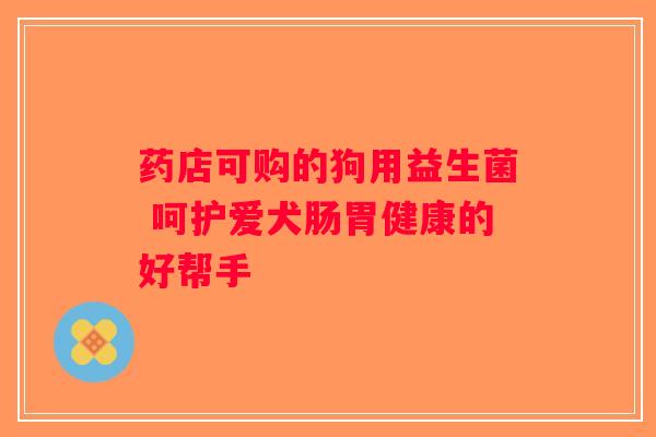药店可购的狗用益生菌 呵护爱犬肠胃健康的好帮手