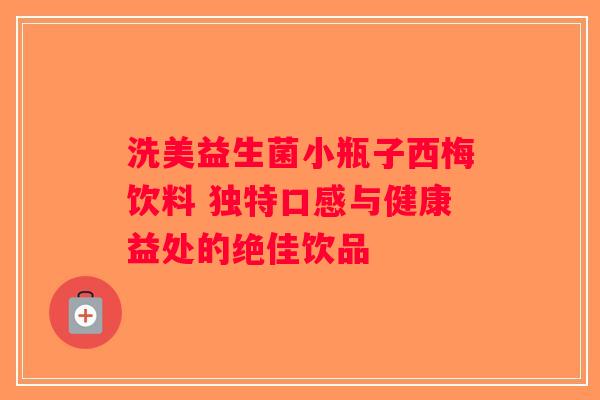 洗美益生菌小瓶子西梅饮料 独特口感与健康益处的绝佳饮品