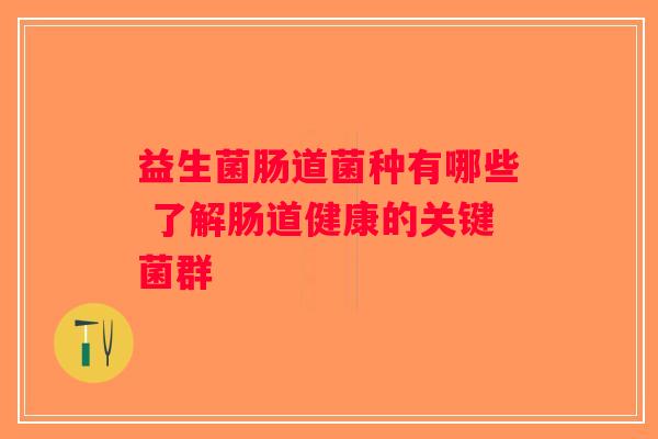 益生菌肠道菌种有哪些 了解肠道健康的关键菌群