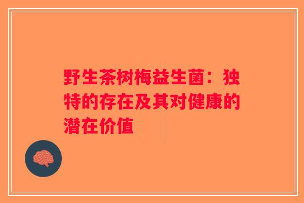 野生茶树梅益生菌：独特的存在及其对健康的潜在价值