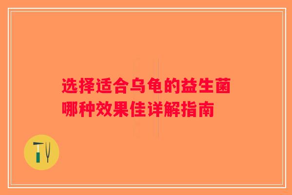 选择适合乌龟的益生菌哪种效果佳详解指南