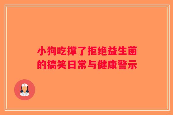小狗吃撑了拒绝益生菌的搞笑日常与健康警示