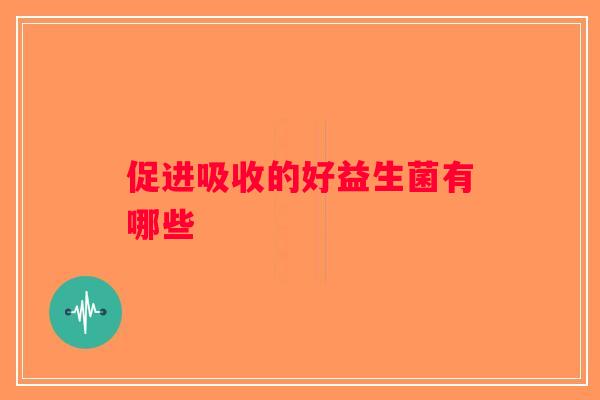 促进吸收的好益生菌有哪些