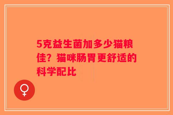 5克益生菌加多少猫粮佳？猫咪肠胃更舒适的科学配比