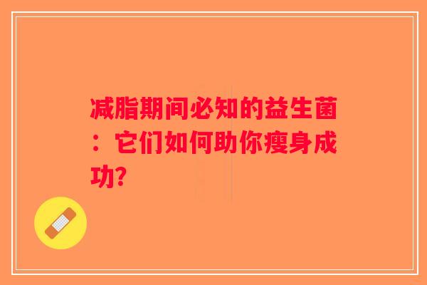 减脂期间必知的益生菌：它们如何助你瘦身成功？