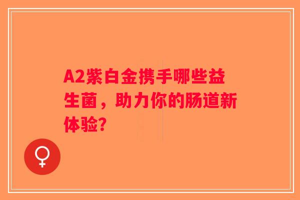 A2紫白金携手哪些益生菌，助力你的肠道新体验？
