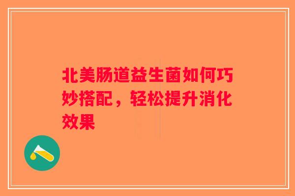 北美肠道益生菌如何巧妙搭配，轻松提升消化效果