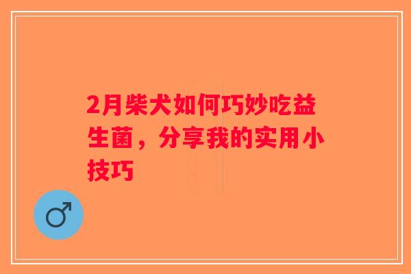 2月柴犬如何巧妙吃益生菌，分享我的实用小技巧