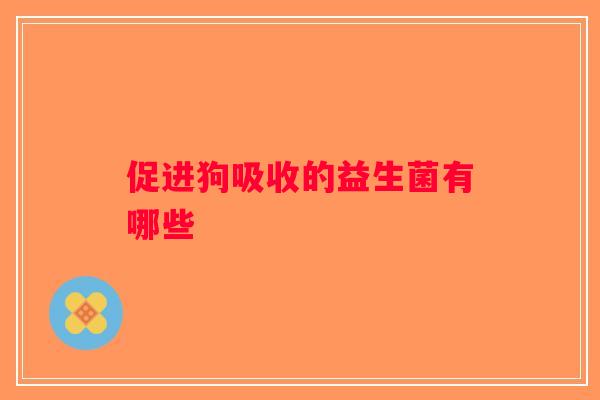 促进狗吸收的益生菌有哪些