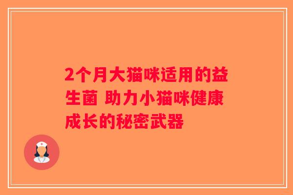 2个月大猫咪适用的益生菌 助力小猫咪健康成长的秘密武器