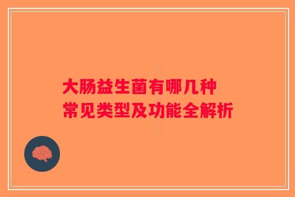 大肠益生菌有哪几种 常见类型及功能全解析