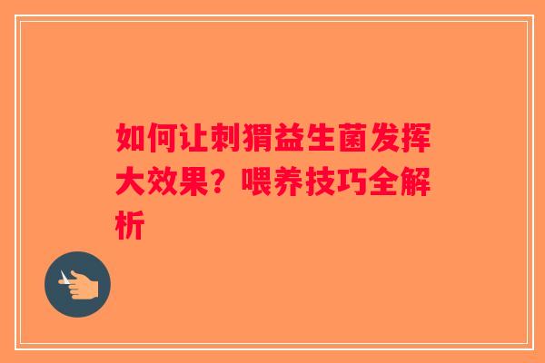 如何让刺猬益生菌发挥大效果？喂养技巧全解析